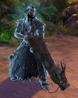 Veteran Phantom Marksman alt.jpg