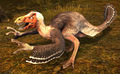 Vulture Raptor.jpg