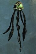 Black Wind Rider.jpg
