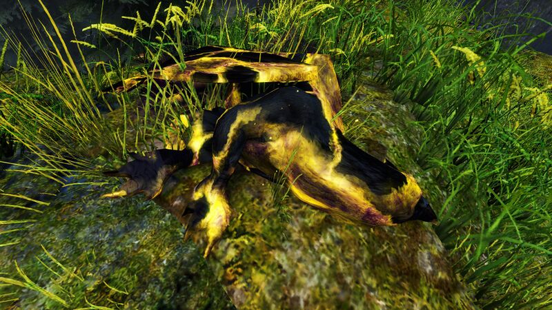 File:Dead Valravn.jpg
