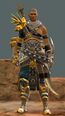 Sunspear heavy male 1.jpg