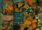 The Uplift 6 map.jpg