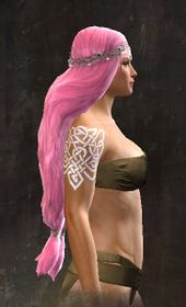 Unique norn female hair side 14.jpg