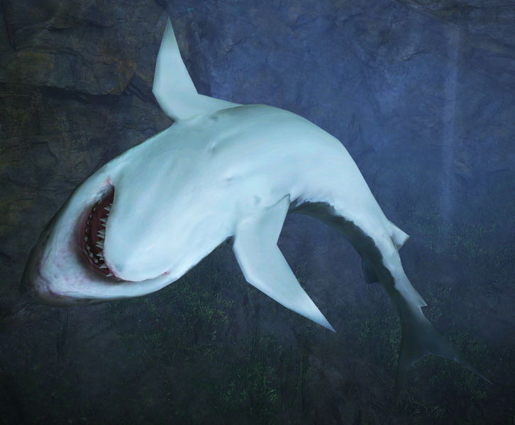File:Ancient Shark Pistrix.jpg