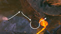 Chalice of Tears solution step 5a.jpg
