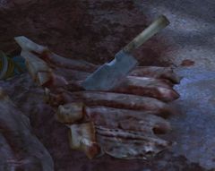 Cleaver (Desert Highlands).jpg