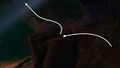 Drydock Scratch solution step 3c.jpg