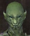 Exclusive face - sylvari male 7.jpg