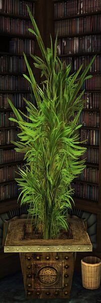 File:Forbiddium Consecreta.jpg