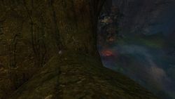 9. When the bough breaks. Glide east from The Skillet into the bough of a tree