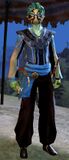 Lionguard sylvari light 3.jpg