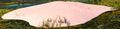 Thumbnail for version as of 23:08, 3 January 2021