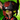 Mini Inquest Technician.png