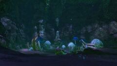 Mycelium Colony.jpg