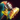 Rage's Fist.png