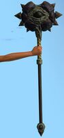 Sclerite Hammer.jpg