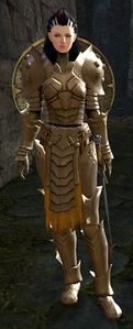 Veteran Vanguard Trainee.jpg