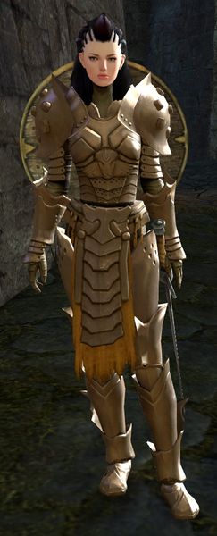 File:Veteran Vanguard Trainee.jpg