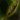 Zhaitan's Wisdom.png