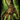 Accursed Vambraces.png