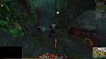 Aspect Gatherer 10 2021.jpg