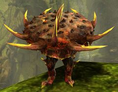 Champion Mushroom Emperor.jpg