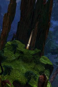 Drizzlewood Coast Insight- Camp Apex.jpg