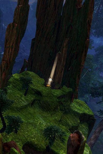 File:Drizzlewood Coast Insight- Camp Apex.jpg