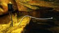 Drydock Scratch solution step 6b.jpg