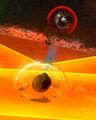 Thumbnail for version as of 11:54, 14 June 2022