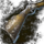 Krytan Rifle.png