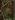 Nemeton Grove map.jpg