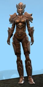 Appearance on heavy armor.