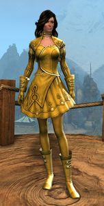 Appearance on light armor.