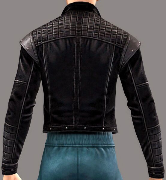 File:Rebel Jacket back.jpg