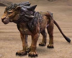 Sand Lioness.jpg