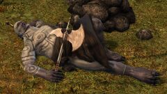 Sleeping Jotun (axes).jpg