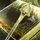 The Art of Woodworking- Staff Shaft Edition.png
