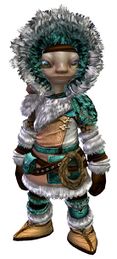Arctic Explorer Outfit