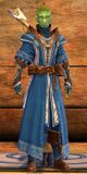 Astral Ward Skirmisher sylvari male 2.jpg