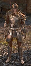Ebon Vanguard Warrior M1 (shield).jpg