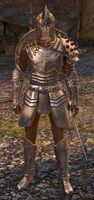 Ebon Vanguard Warrior M1 (shield).jpg