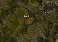 Feesi location.jpg