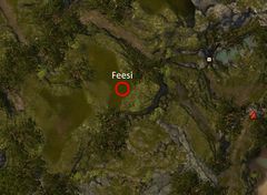 Feesi location.jpg