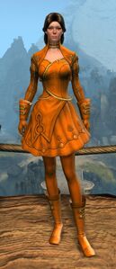 Appearance on light armor.