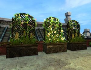 Master of the Unseen Trellis.jpg