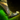 Obsidian Heavy Greaves.png