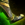 Obsidian Heavy Greaves.png