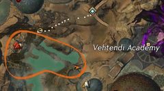 Paint event Vabbi.jpg