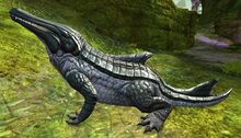 Scaled Drake.jpg